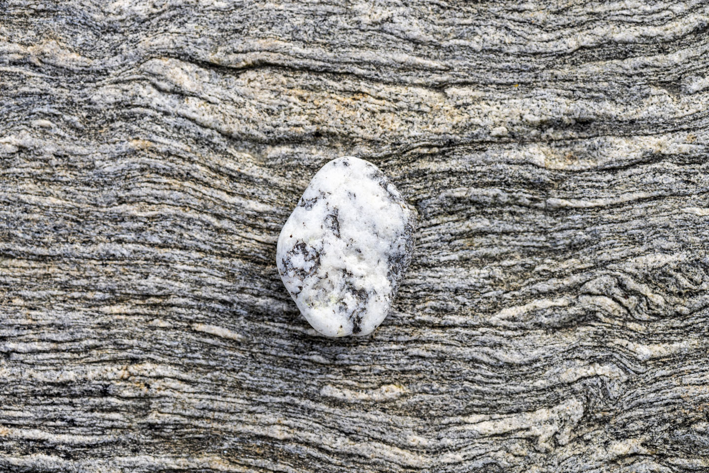 the other side of the half black half white stone