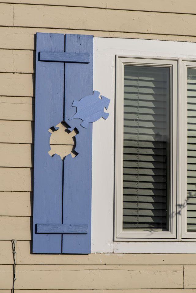 turtle looking like it crawled out of a window shutter