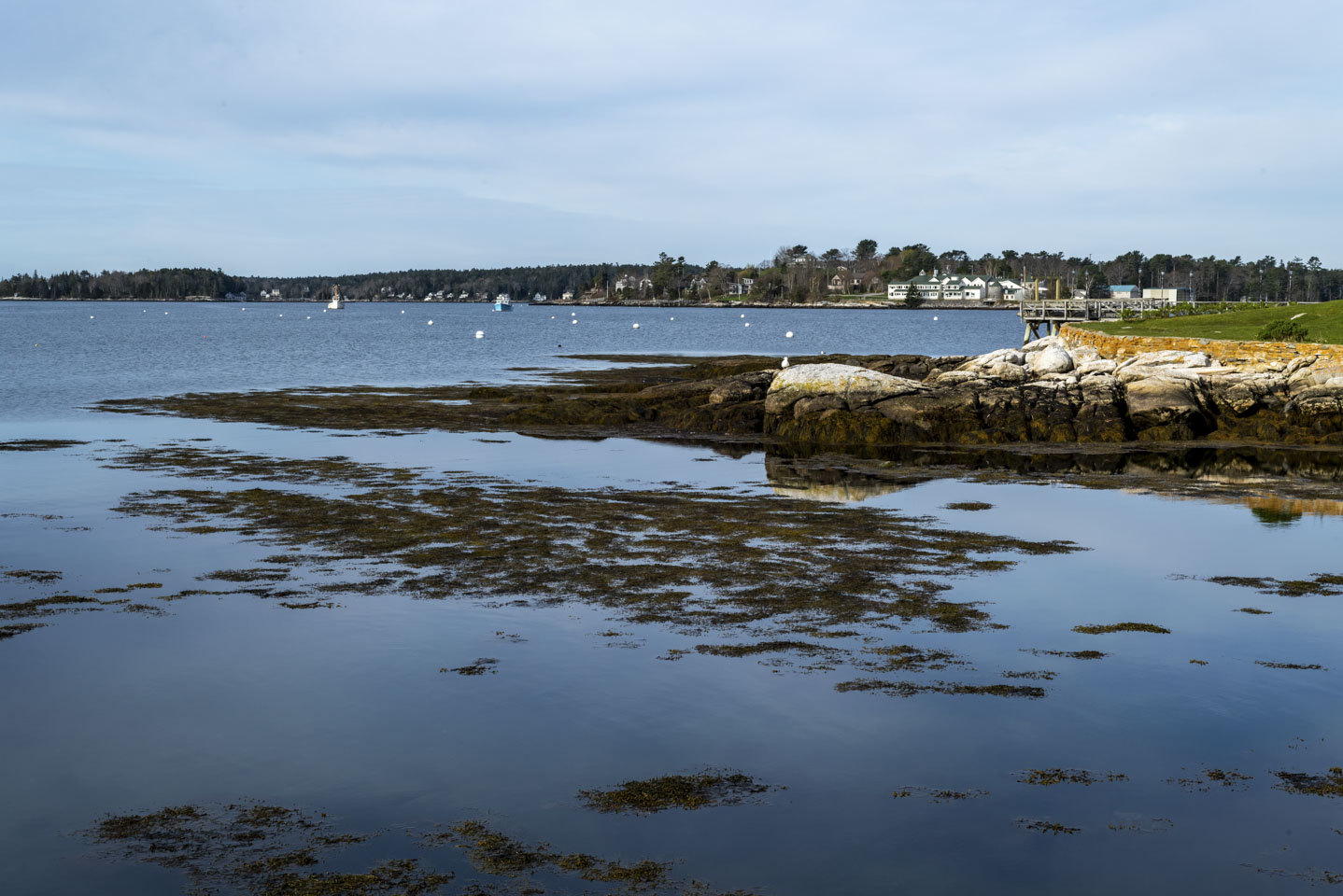 view from the boatyard in Boothbay Harbor