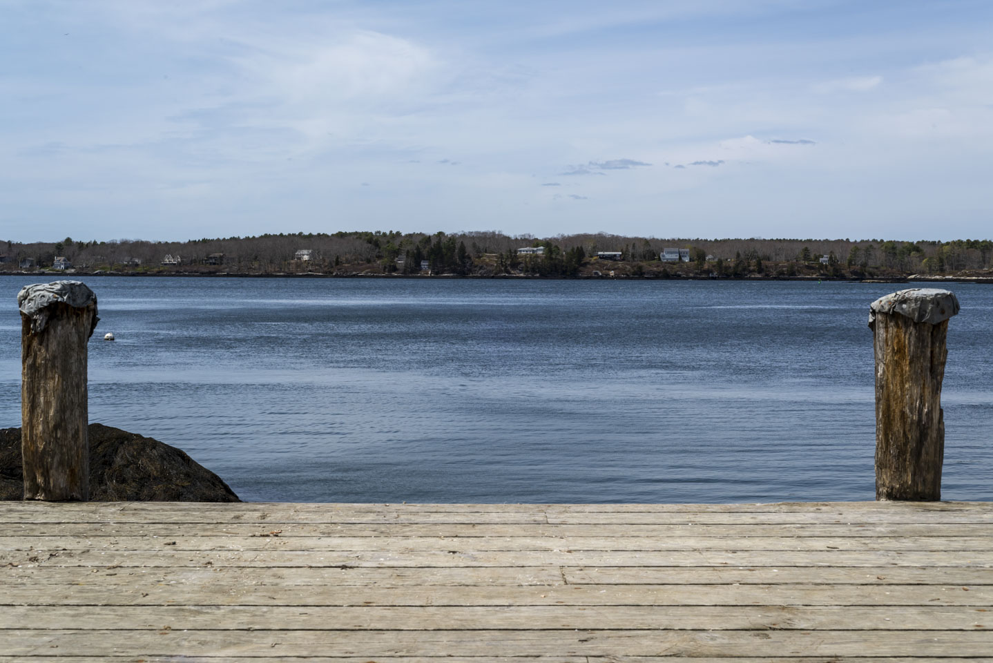 view from dock in Porter Preserve