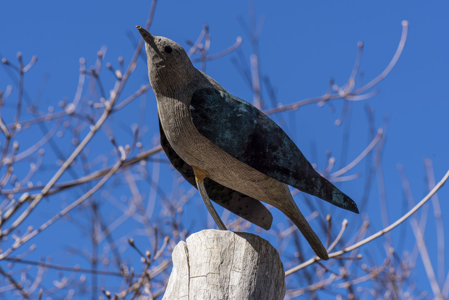 wood sculpture of a bird