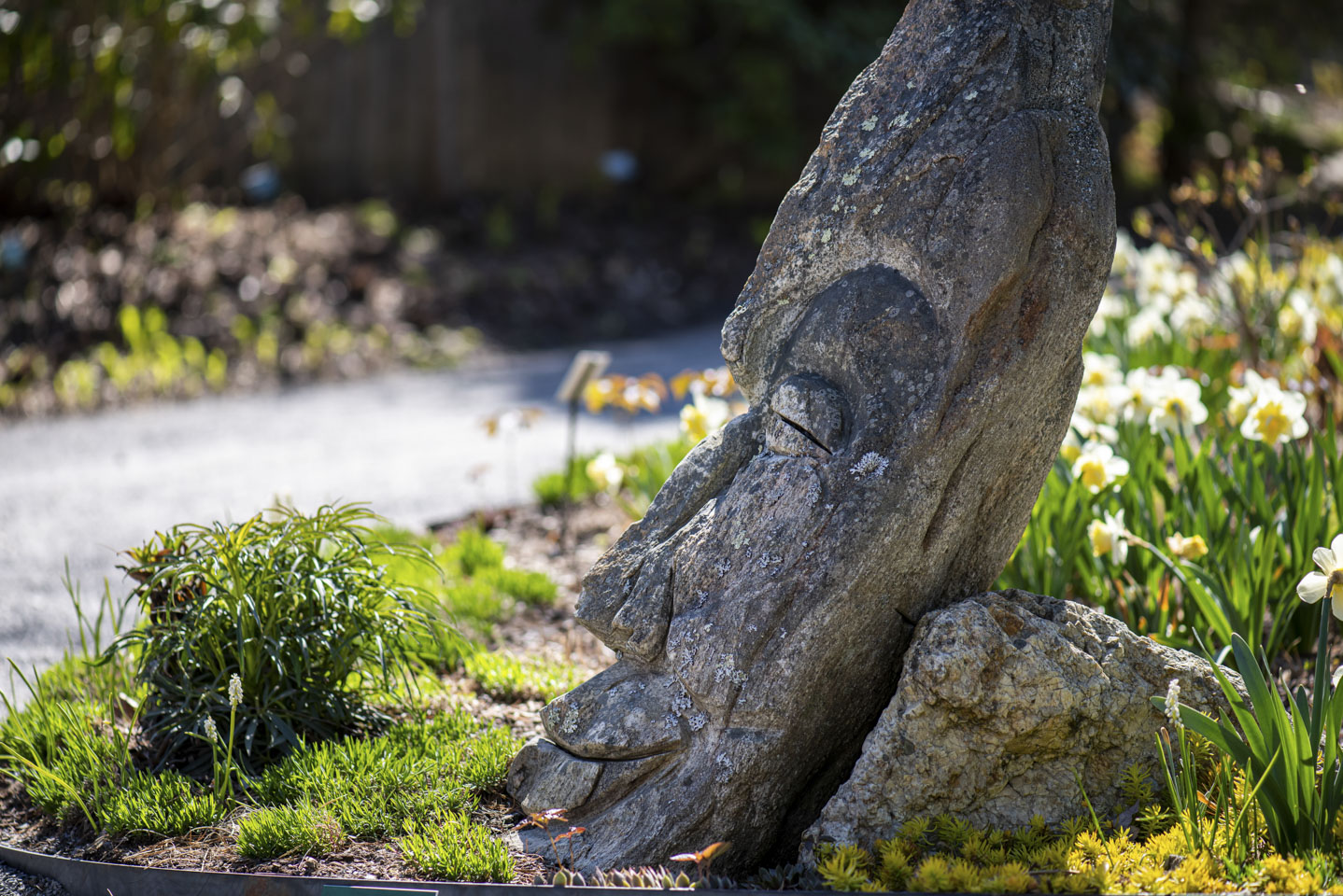 a different rock face