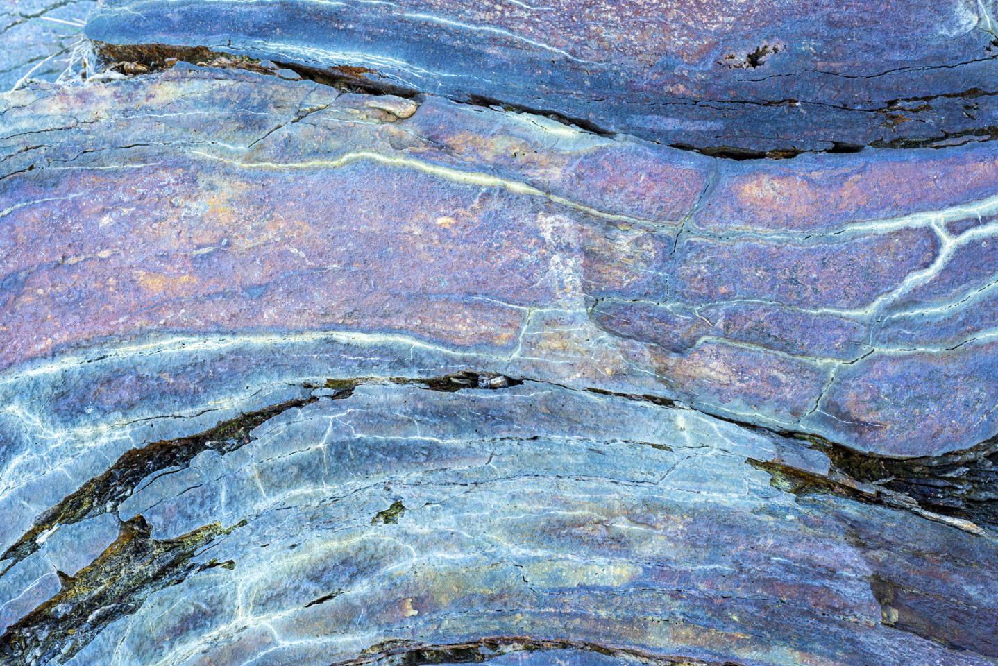 rock with purple, white, yellow, blue