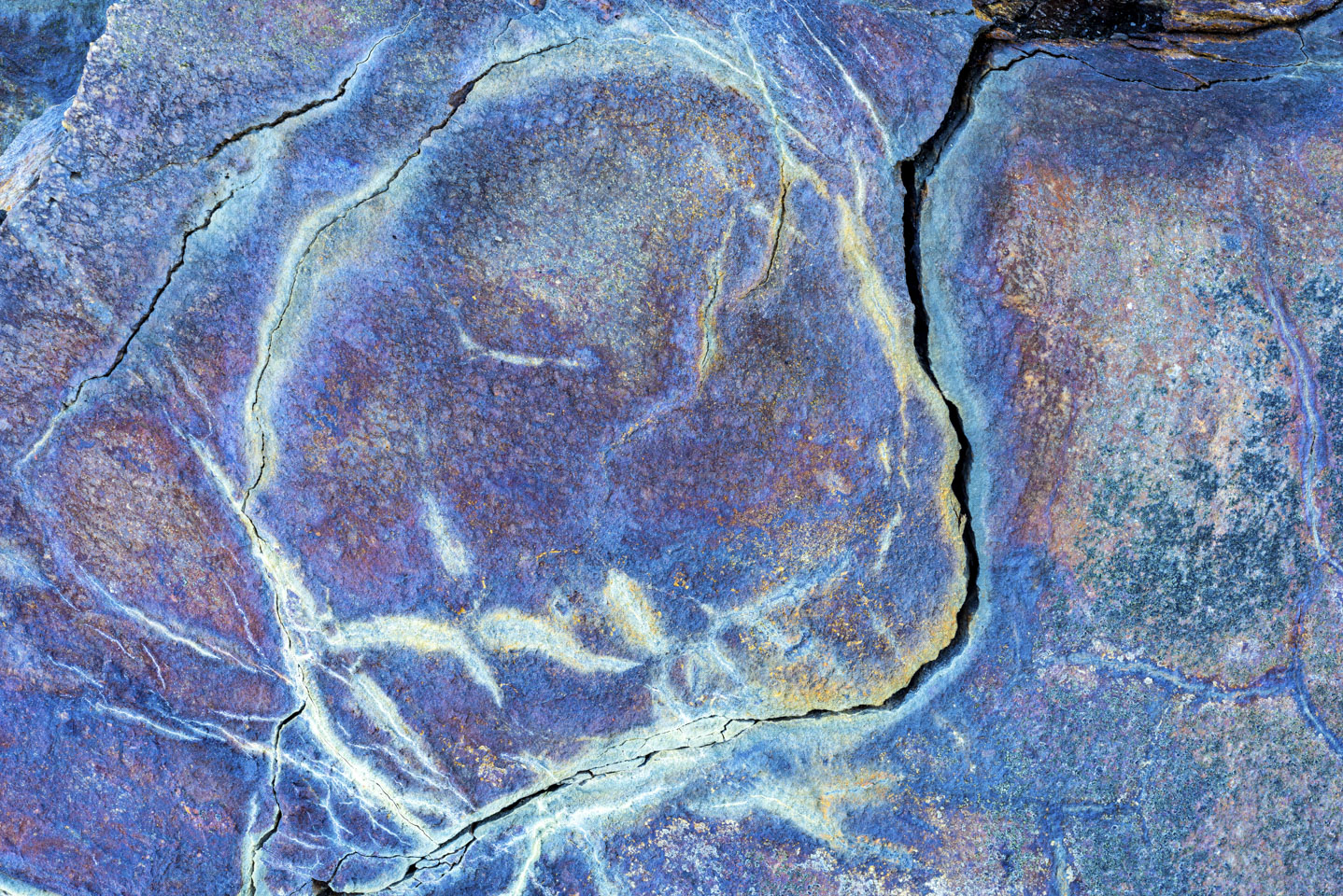 rock with purple, white, yellow, blue