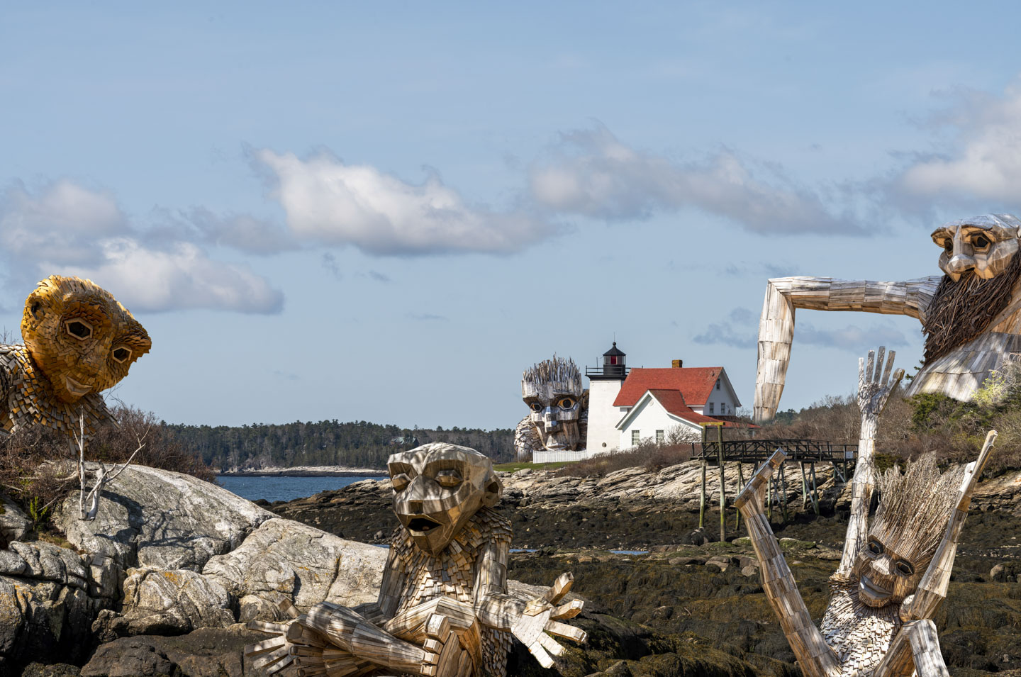 All 5 trolls at Hendricks Head