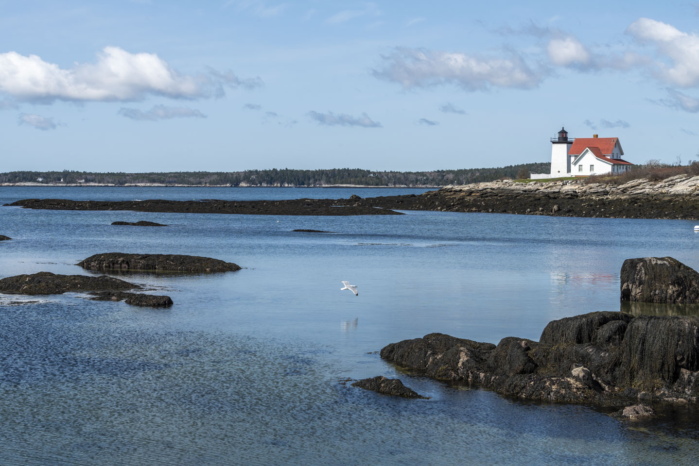 view of Hendricks Head from the rock by the beach