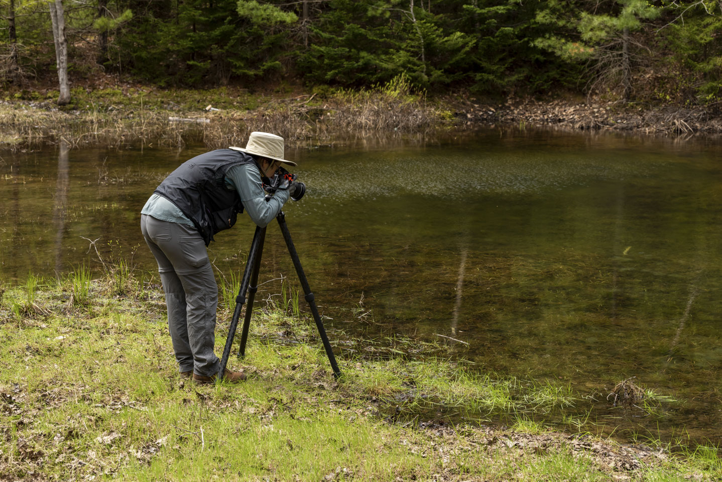 Anne at a vernal pool