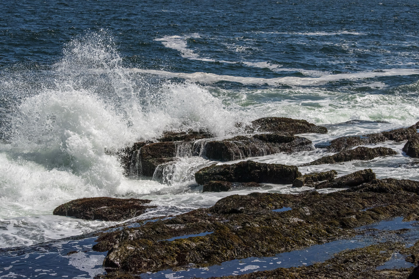 wave photo with a shutter speed of 1/2000 second