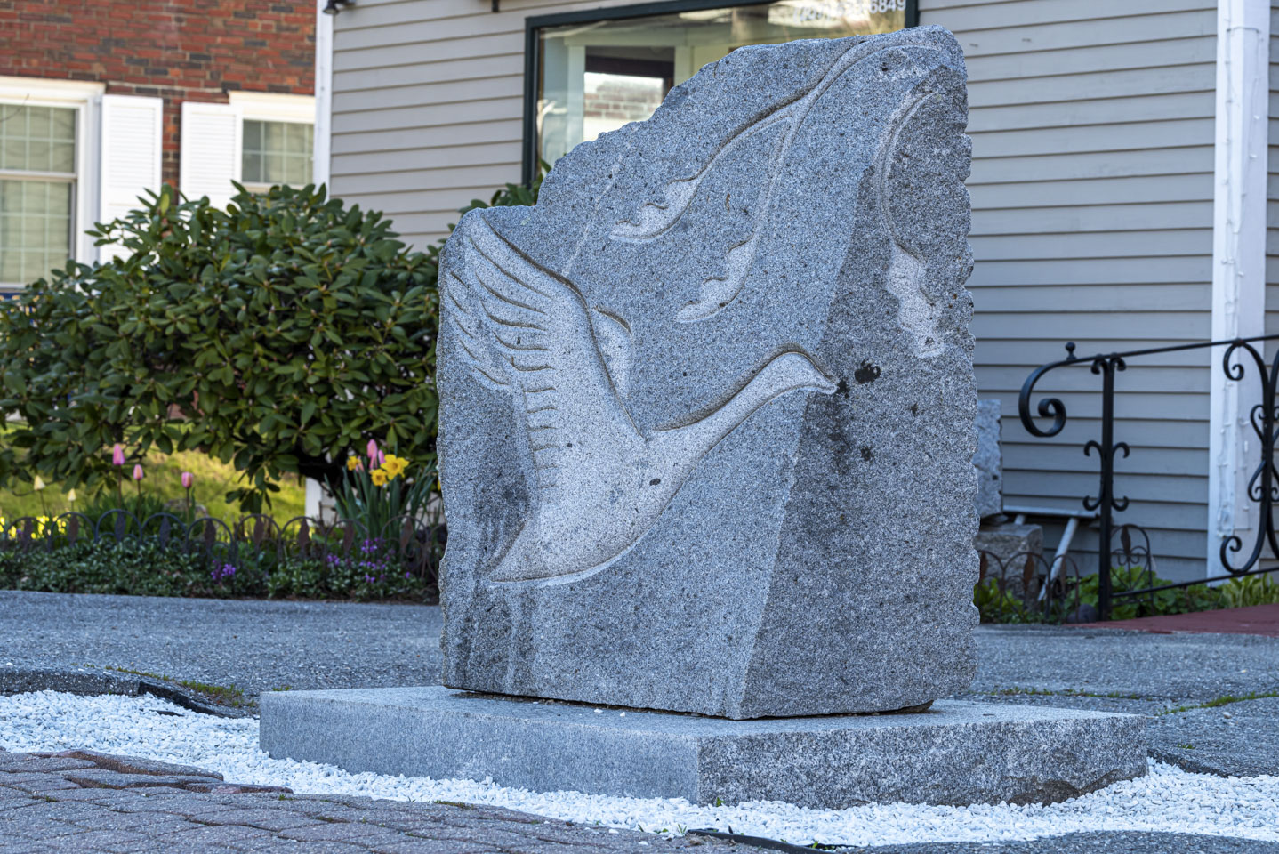 relief of a duck in flight