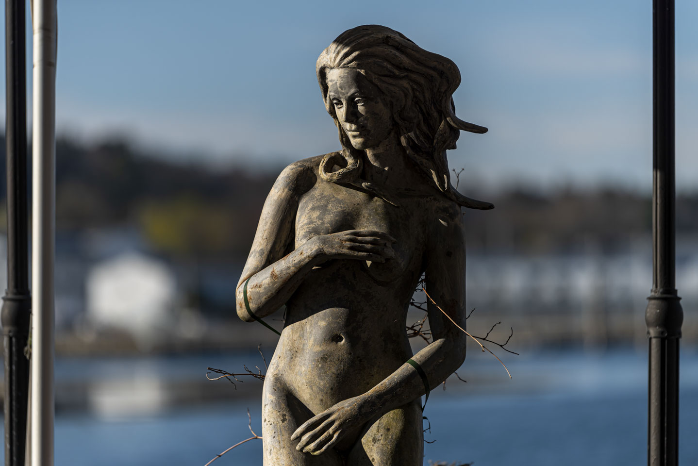 Statue of Venus
