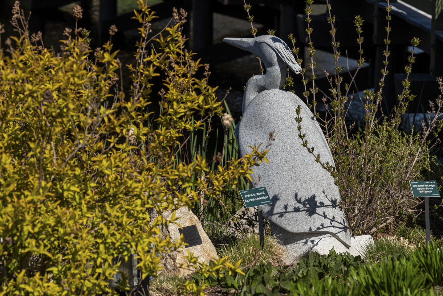 Great Blue Heron sculpture