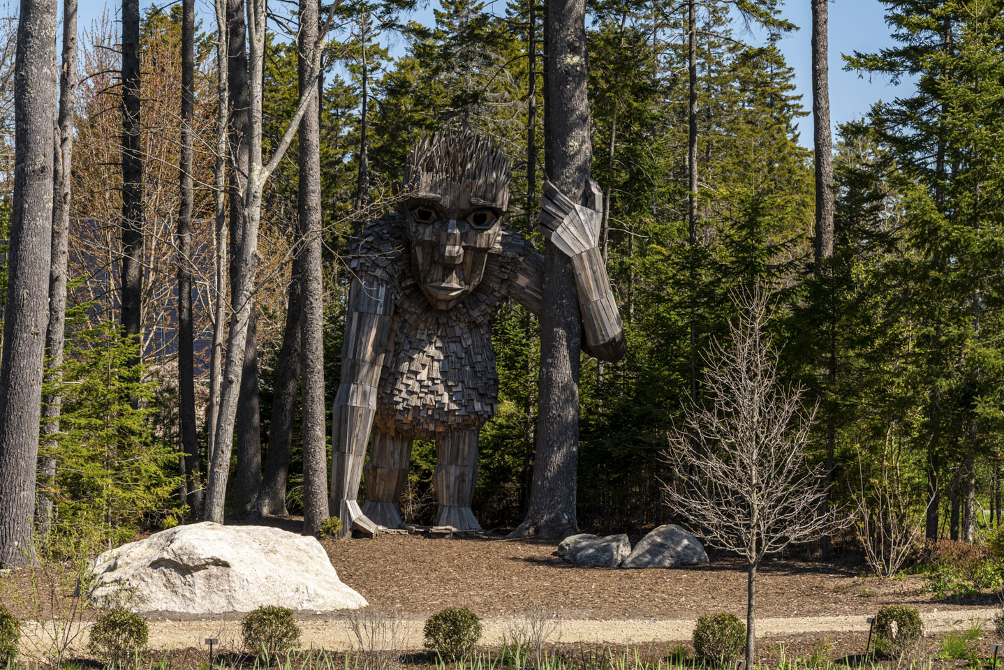 Roskva troll statue looking to you