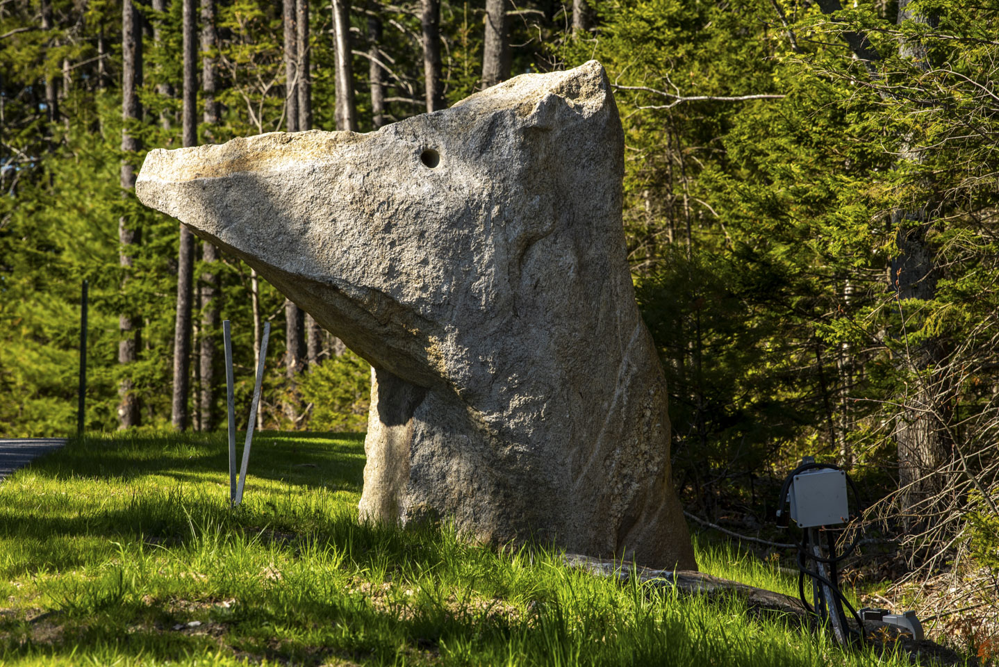 large sculpture of a dog head