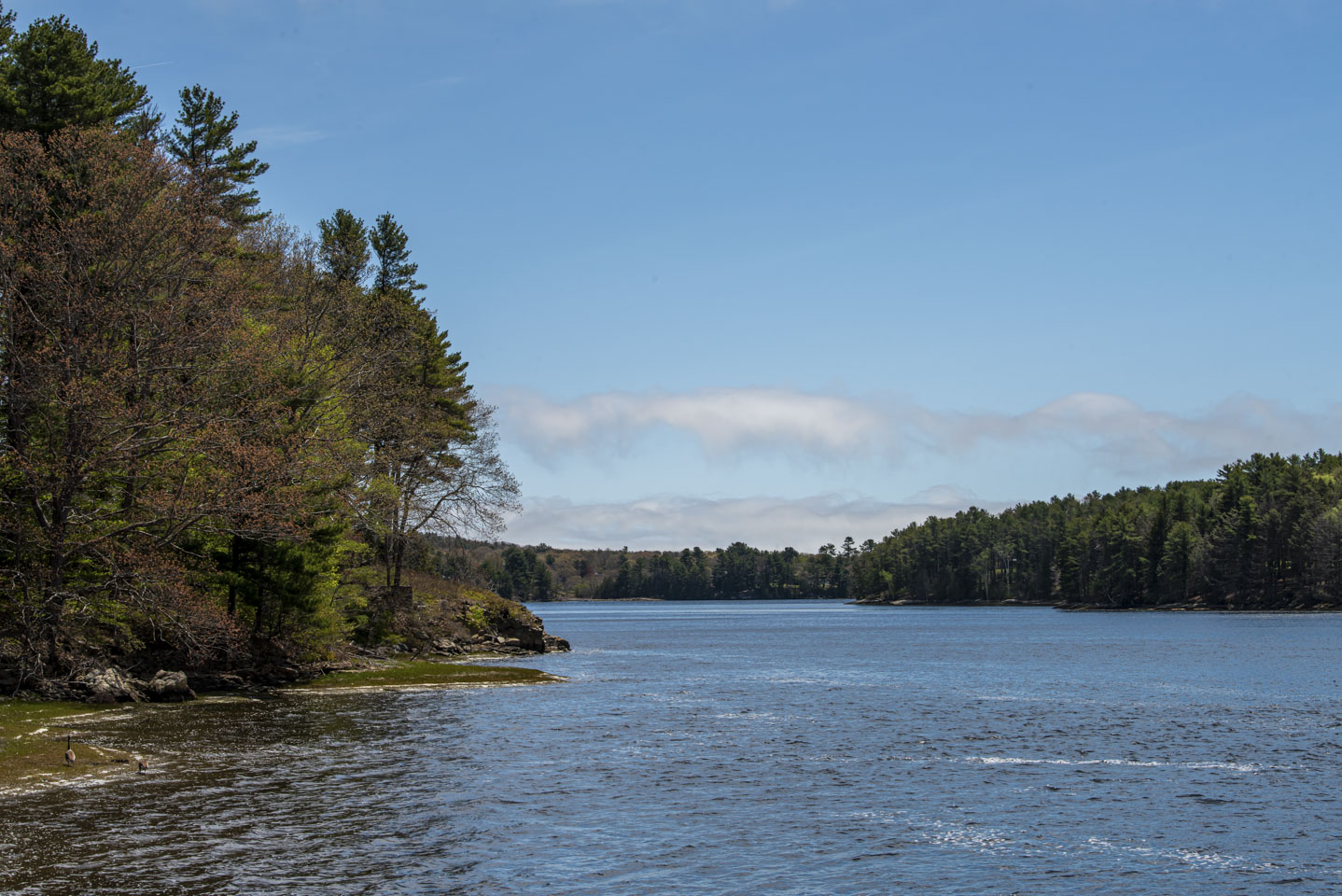 Looking down the Kennebec from Doubling Point