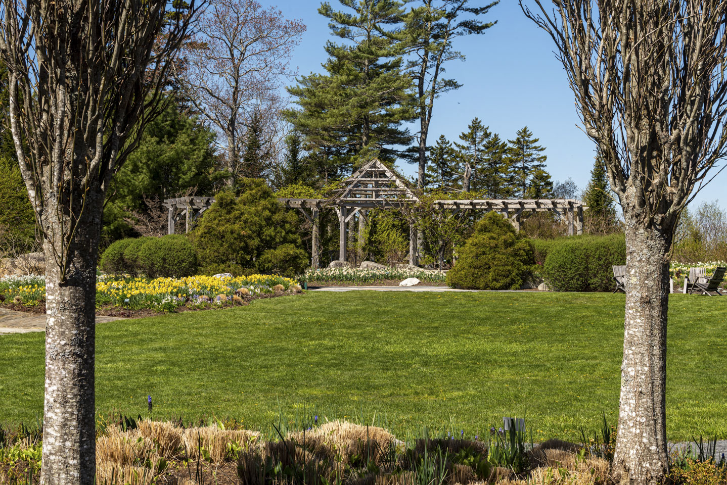 large arbor at the Maine Botanical Garden