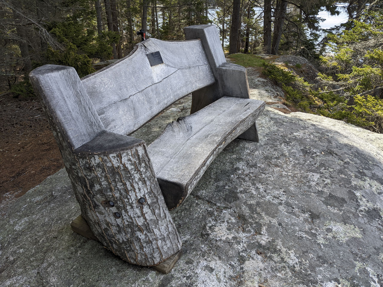 tree trunk bench, front view