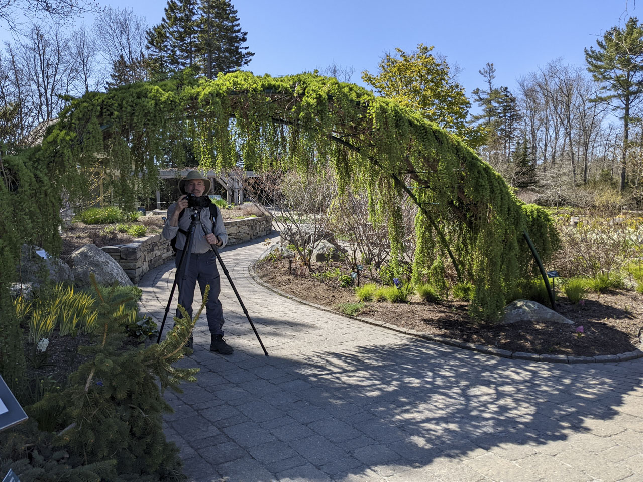 Paul under the arbor