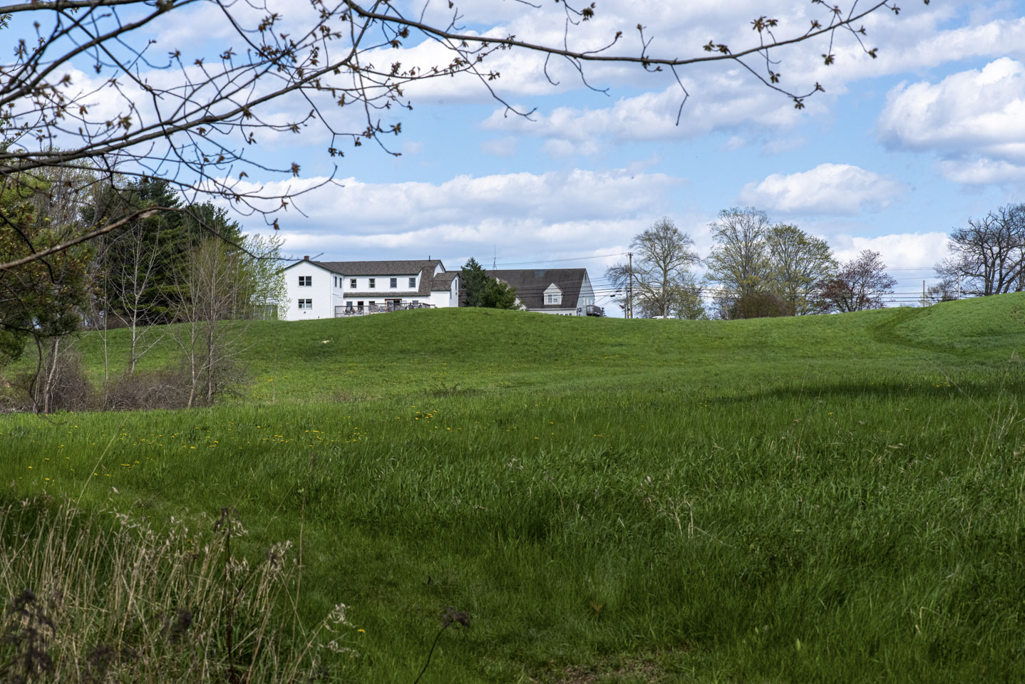 rolling hills leading up to a white farm house