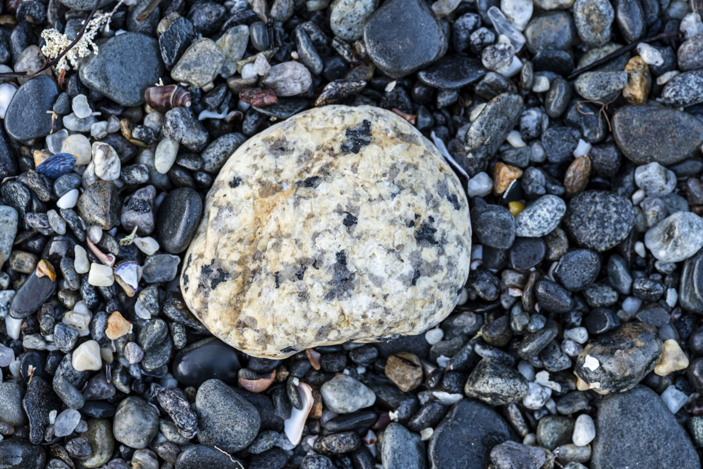 white stone on even smaller gray stones