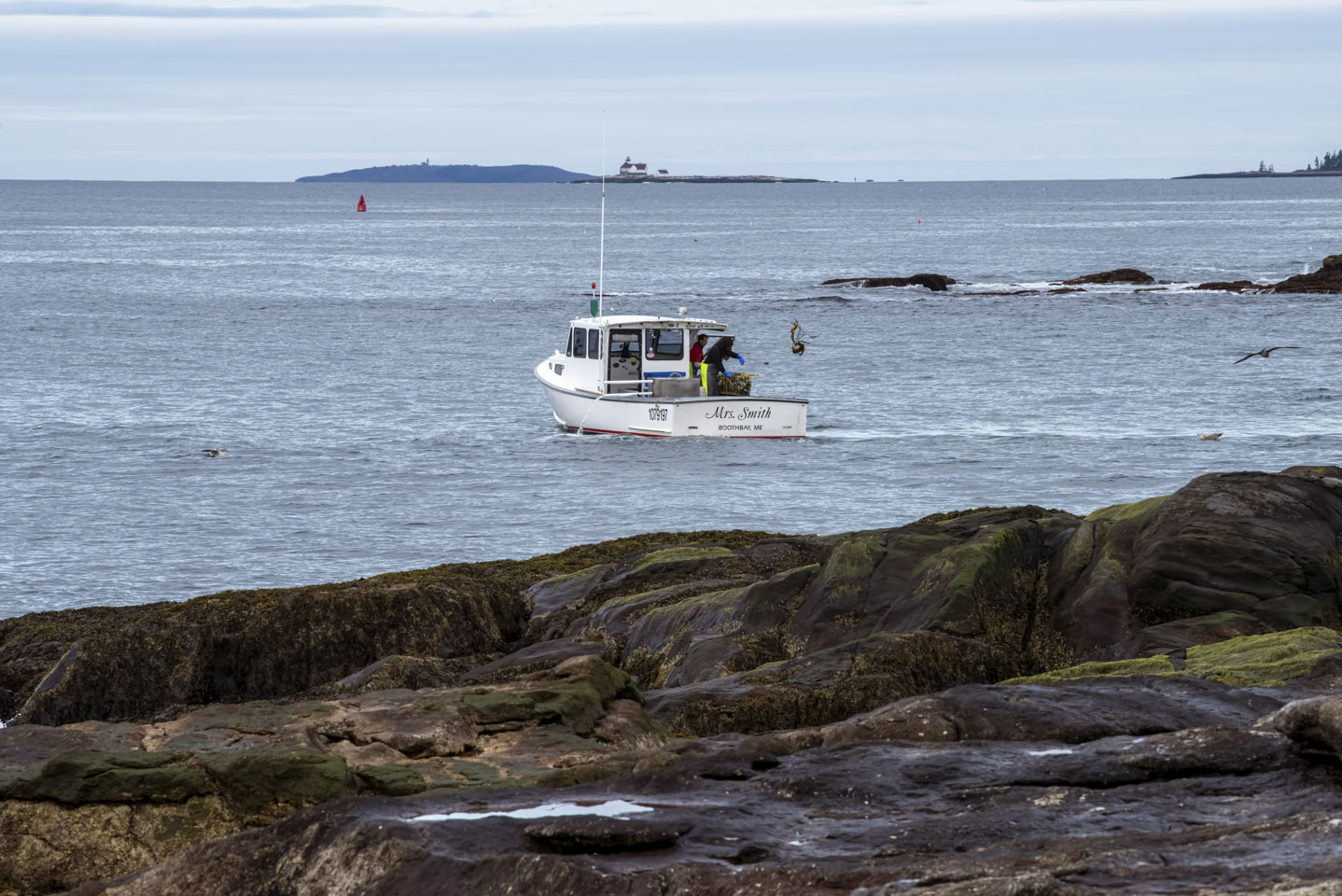 The lobster boat Mrs. Smith with Cuckold and Seguin lighthouses in the distance