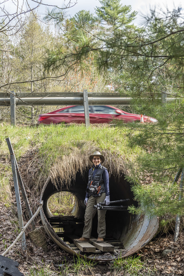 Anne in front of a sheep tunnel walkway under route 1, with a car driving on route 1.