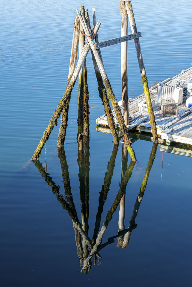 Piling protruding from the water