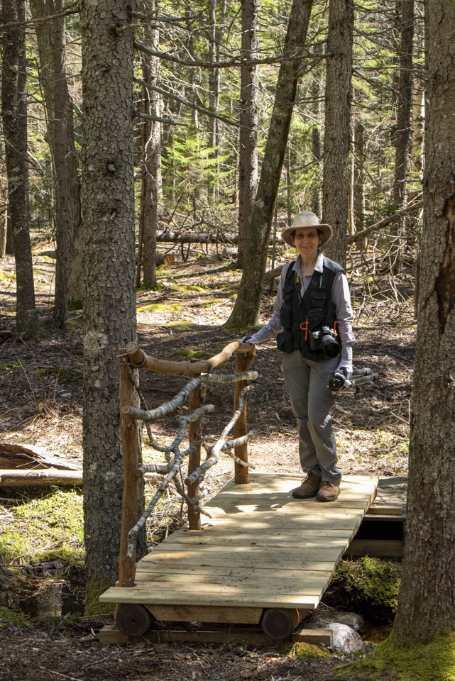 Anne on a bridge that has a decorative twig railing