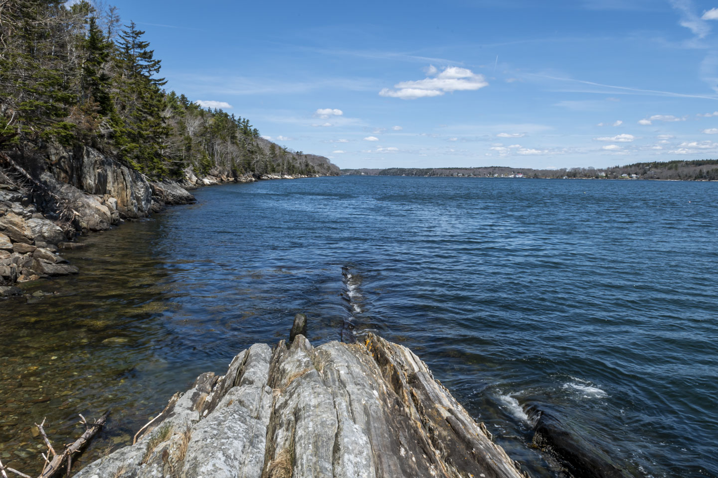Rocks leading into the water