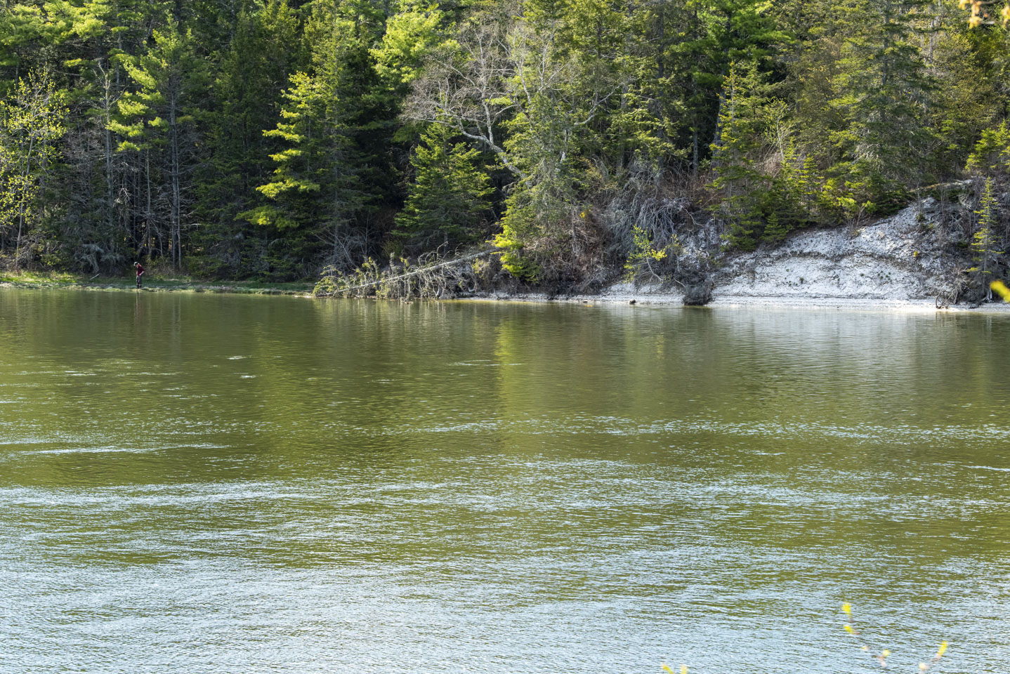 Glidden Midden as seen from across the river