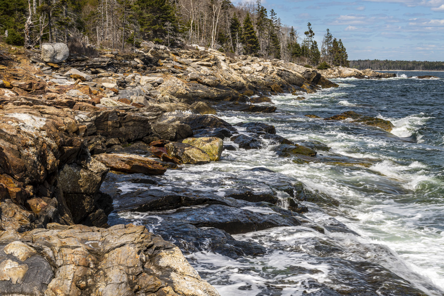 The shoreline at LaVerna Preserve