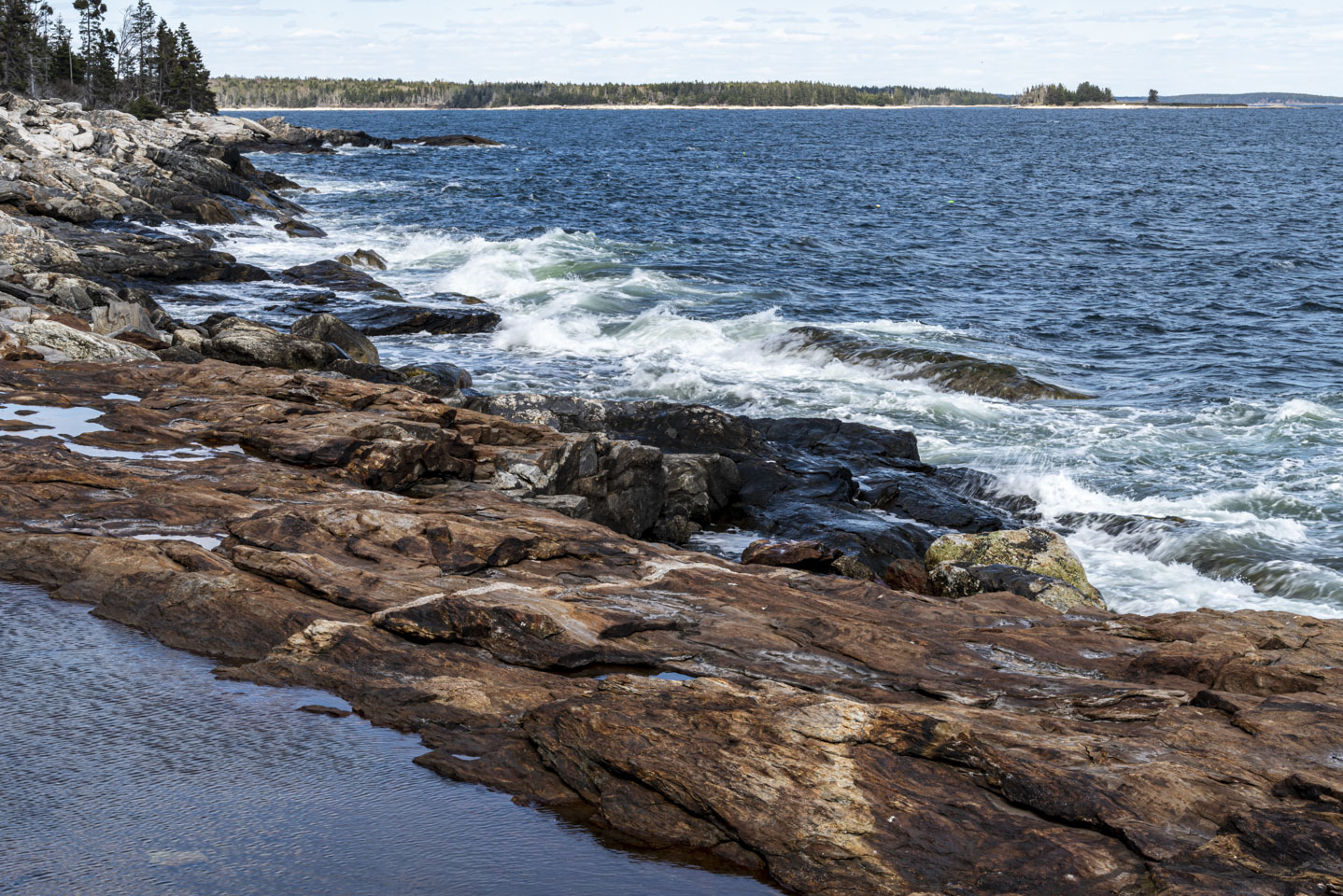 The shoreline at LaVerna Preserve