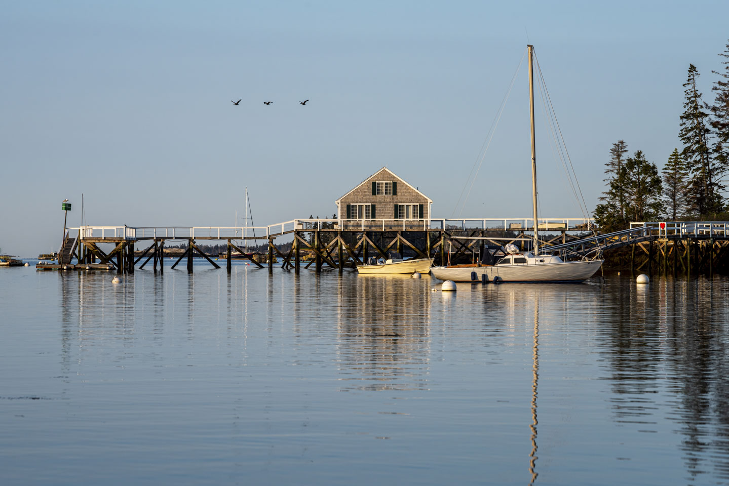 Harbor scene in Boothbay Harbor