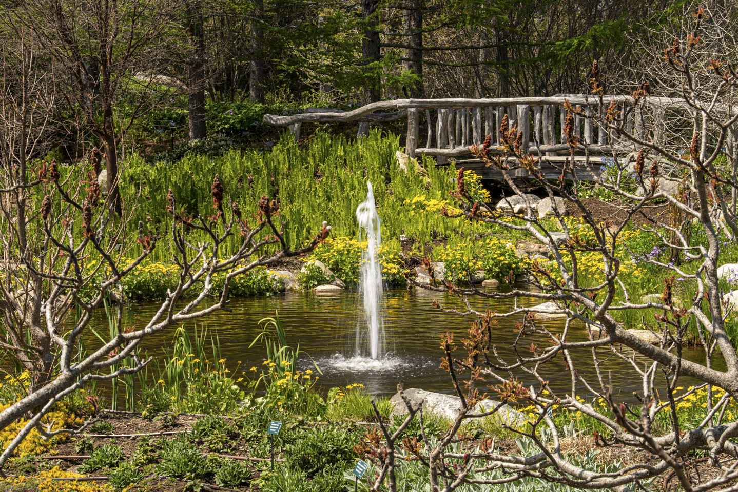 Fountain at the Maine Botanical Gardens