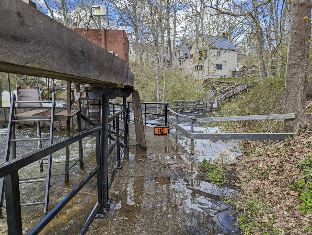 Damariscotta Fish Ladder with areas roped off