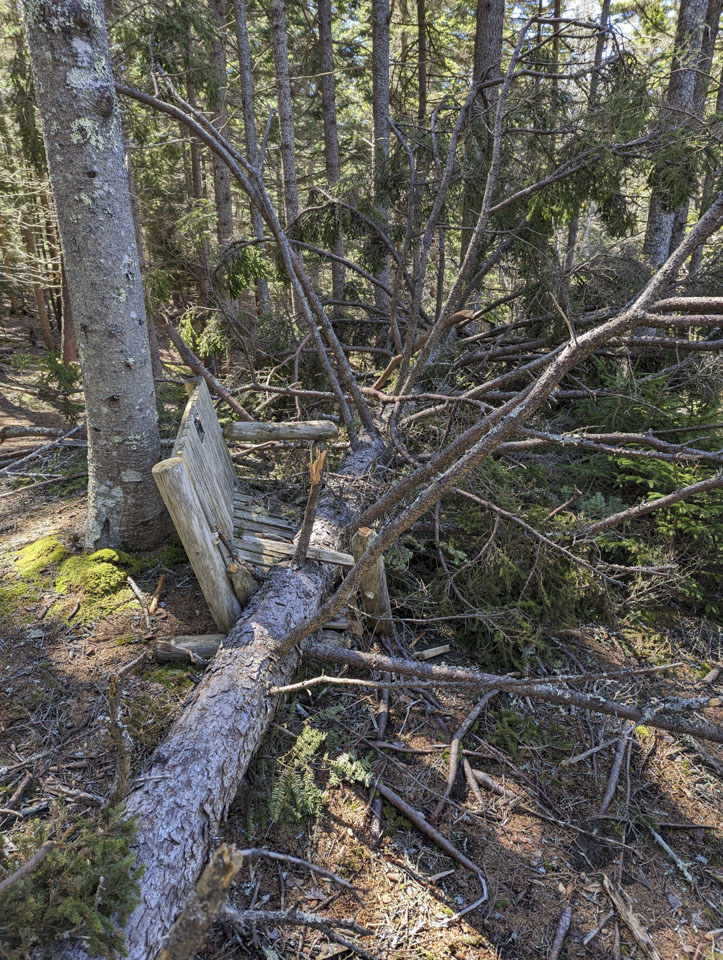 A fallen tree that has smashed a bench in the woods