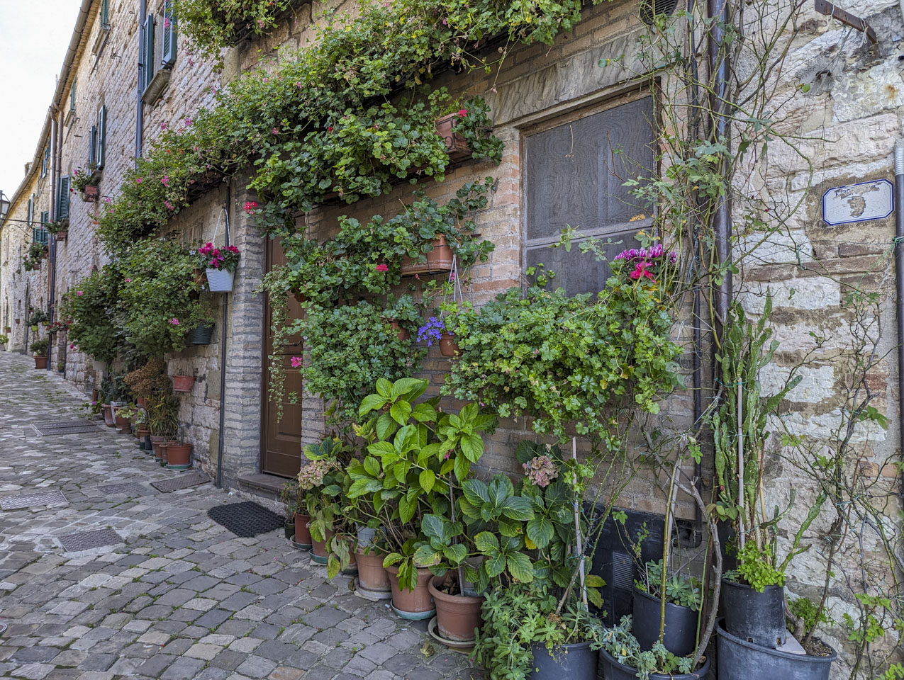 pretty plants outside of an Italian village house