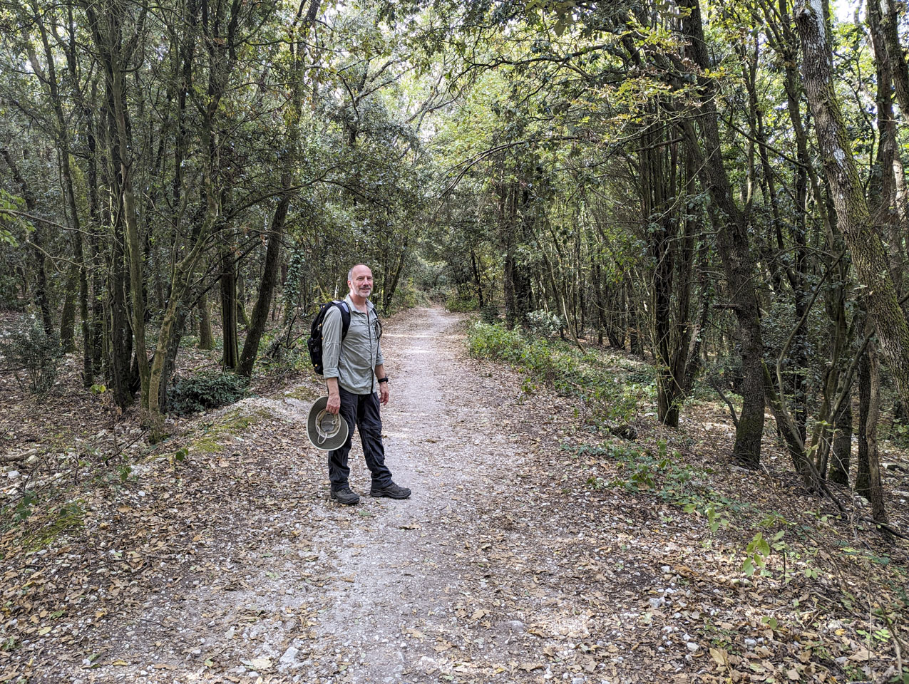 Paul standing on a wide path in a woods.