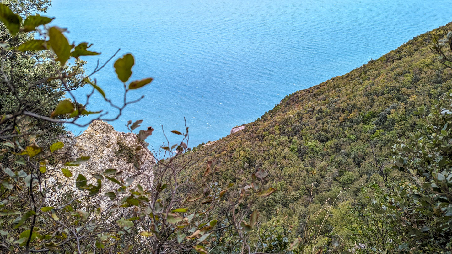Looking down a very steep mountainside to the sea water below.