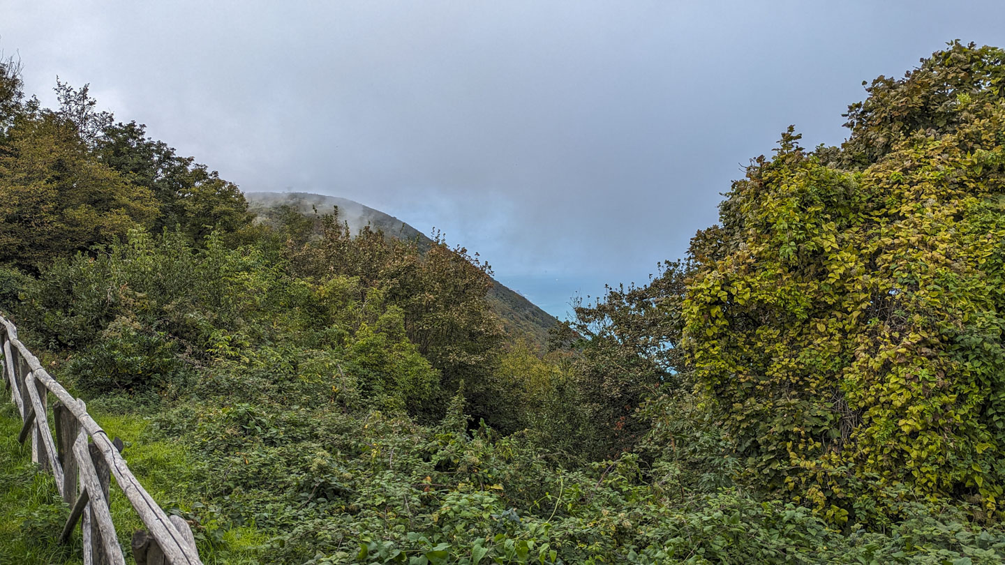 A wood fence is in the lower left corner of the picture. On the far side of the fence is a lot of greenery, then a steep mountainside with the sea in the distance. The distance view and some of the mountaintop are obscured by fog.