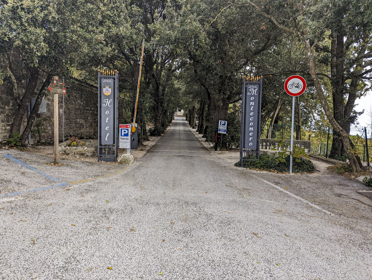 A road lined with trees and flanked by signs for Hotel Monteconero.