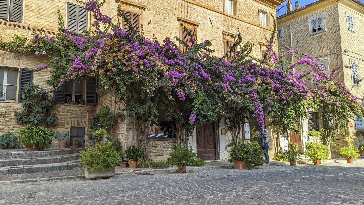 Anne underneath a bougainvillea plant