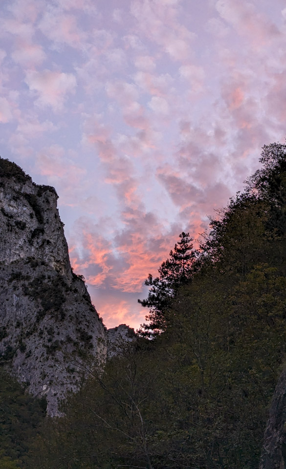Clouds that are pink from the setting sun; they are seen between trees and a mountain.