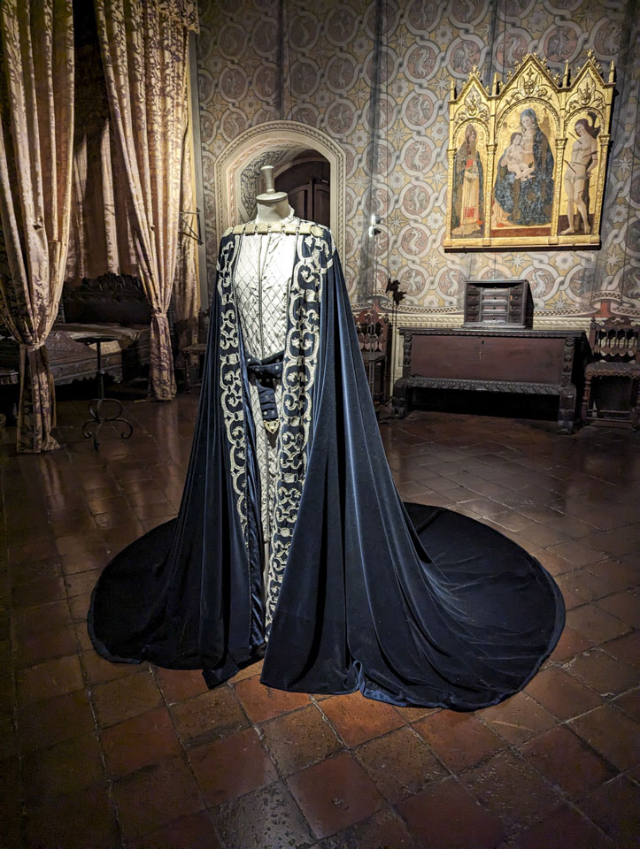 A outfit with a rich velvet cloak and quilted bodice