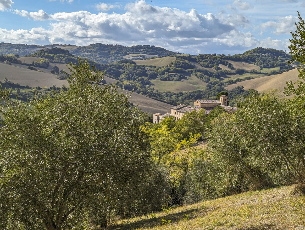 Some olive trees are in the foreground with large old stone building  a bit further. In the distance are rolling agricultural fields.
