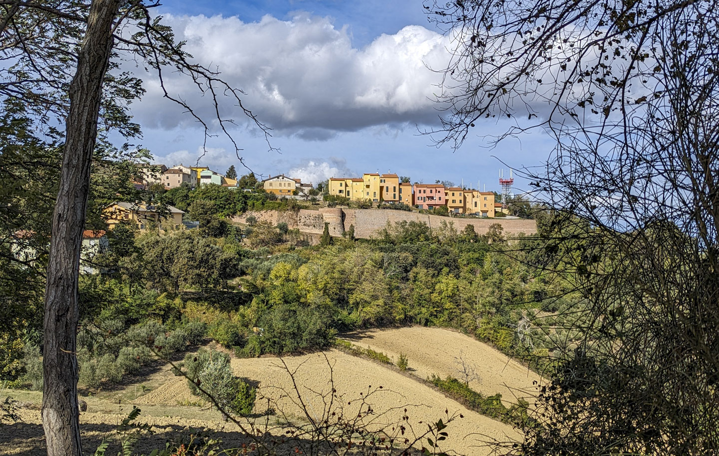 Looking through some trees, a tilled sloped field can be seen in front of a high wall with multistory townhouse buildings behind that. 