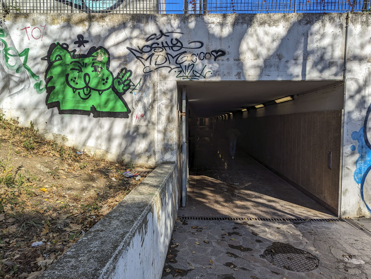 Looking down a tunnel where a person can be dimly seen walking away from us. On the wall to the left of the tunnel is some graffiti that looks like a green cat with fangs.