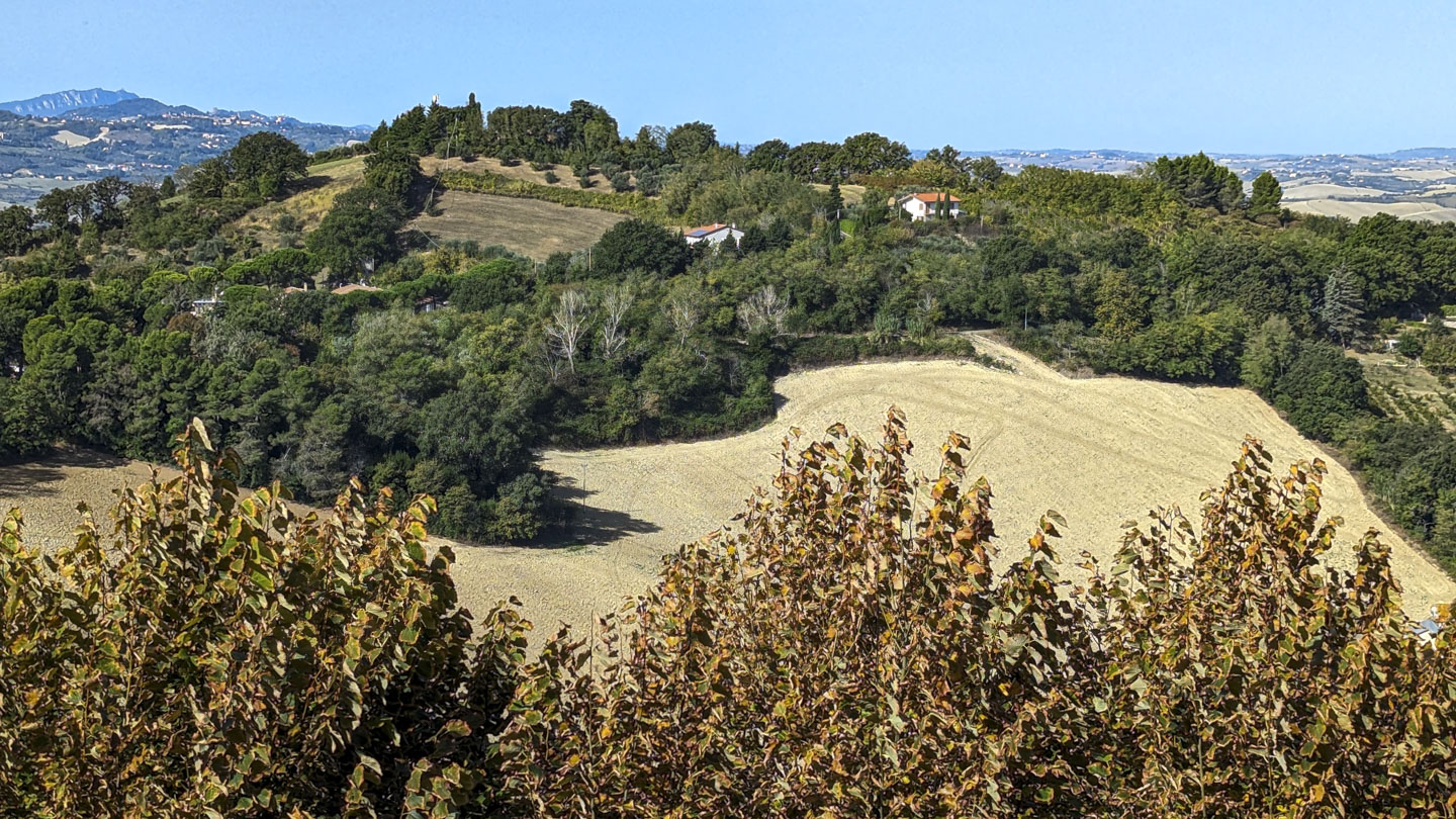 Some tilled farmlands on the nearby hillside, with a sheer cliff face in the distance that is actually Monte Titano in San Marino.