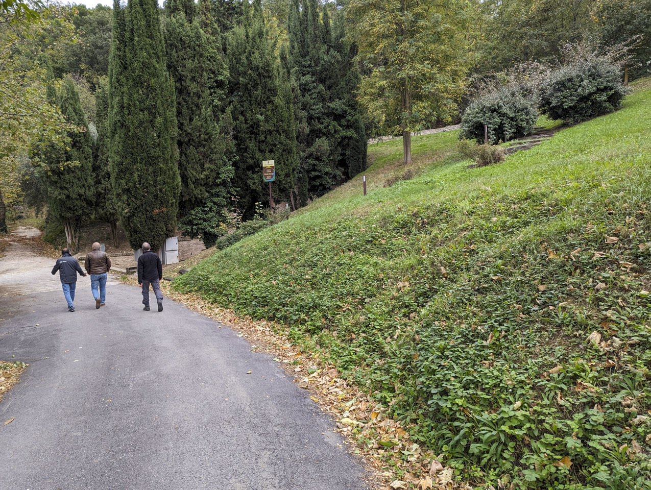 Three men (a friend, Francesco, and Paul) walking down a paved road with a green hill on the left, some tall trees in front of them, and a sign that cannot be read.