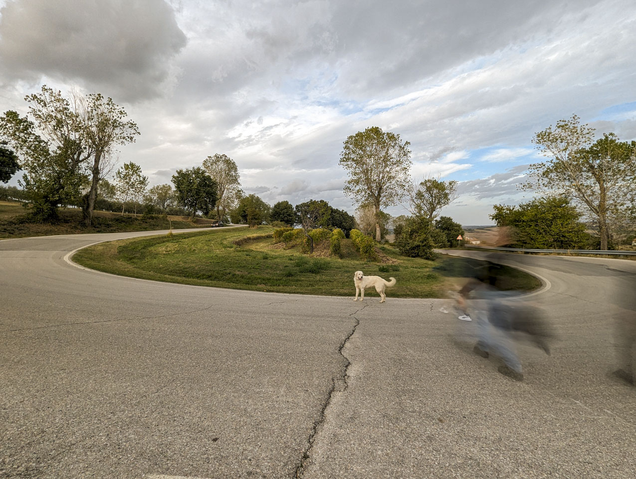 ghostly image of Paul and the others crossing the street, with the white dog on the other side