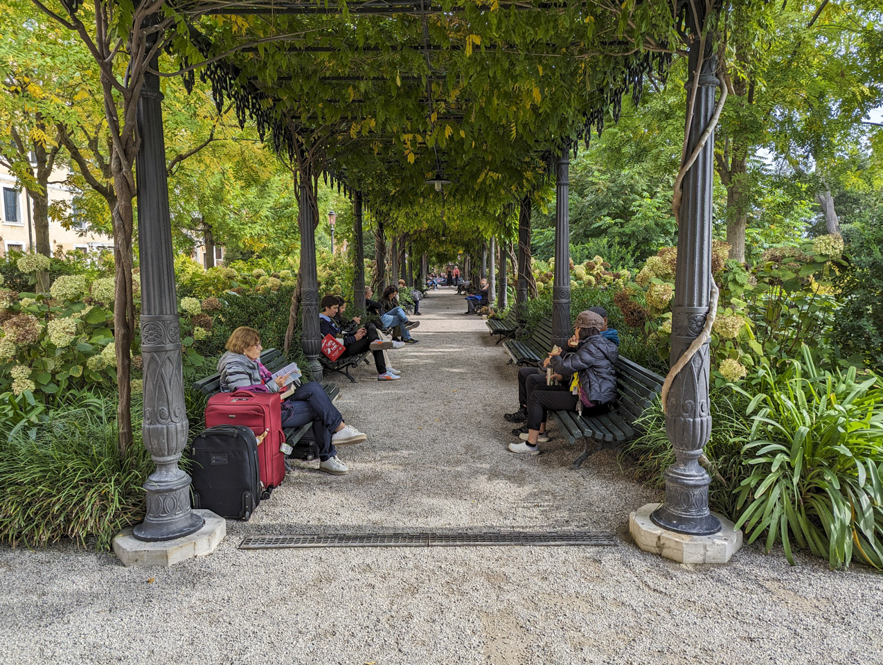 A walkway with benches on each side, large blooming bushes, and a canopy of green plants.